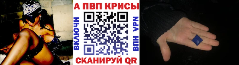 Альфа ПВП СК КРИС Кызыл