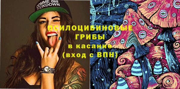 дмт Аркадак