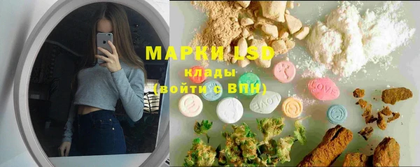 дмт Аркадак