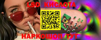 гидра Камышлов