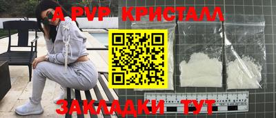 шишки Кимры