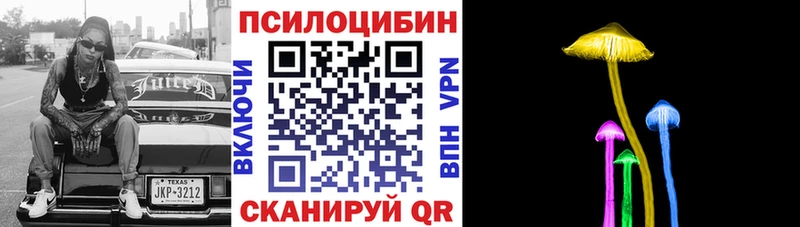 Галлюциногенные грибы Psilocybine cubensis  Кызыл 