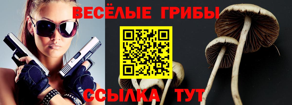 Псилоцибиновые грибы Magic Shrooms Кызыл